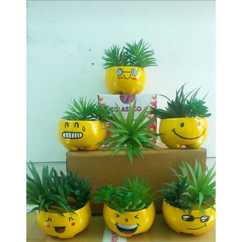 Buy Smiley Planters Set
