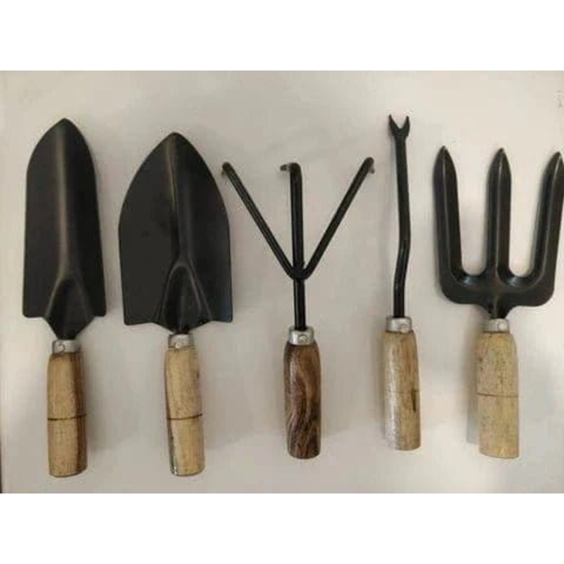 Buy Wooden Handle Gardening Tools Combo – Set of 5