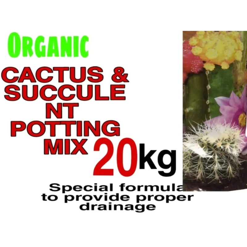 Cactus And Succulent Potting Mix