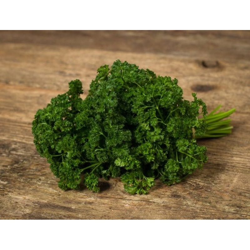 Parsley curled leaf seeds