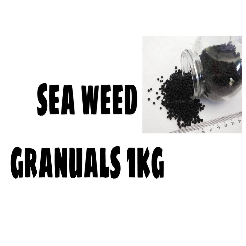 SEA Weed Granuals