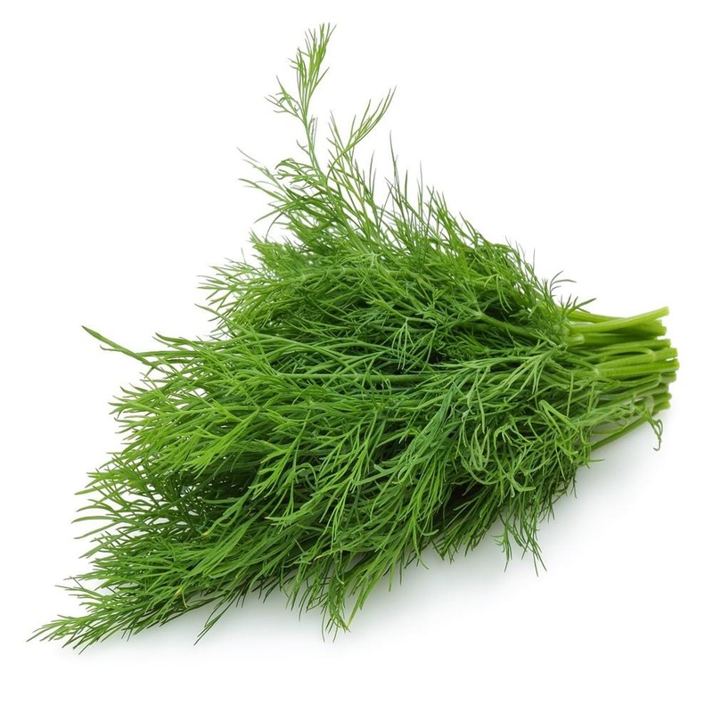 Florance Fennel