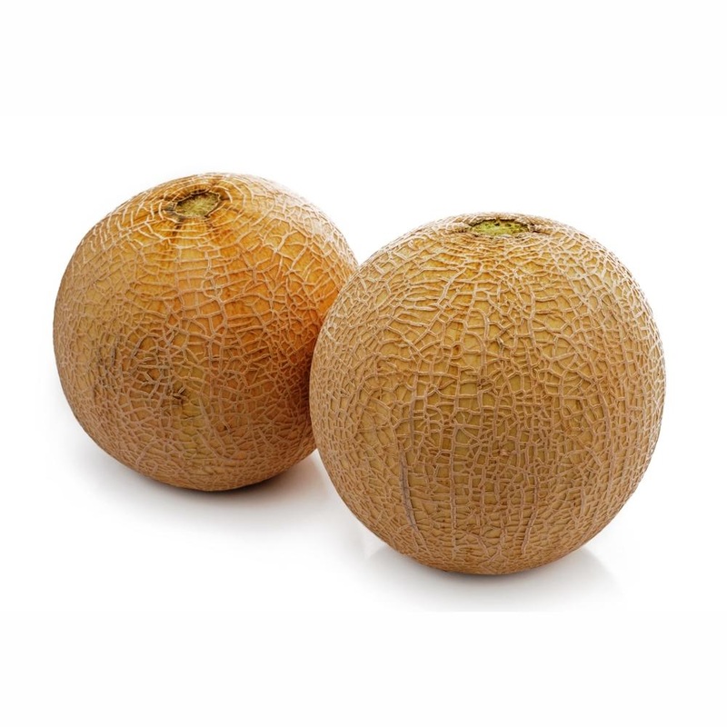 Musk Melon Indam MH38