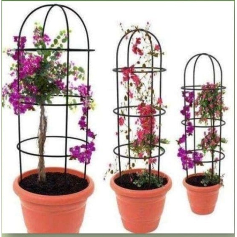 Plant Supporter ( without pot )