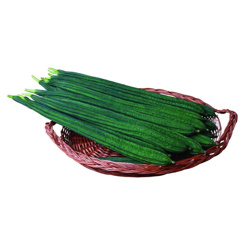 Ridgegourd Indam 1222 (HY)