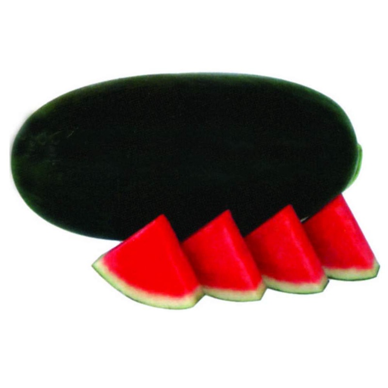 Watermelon Indam Arjun (HY)
