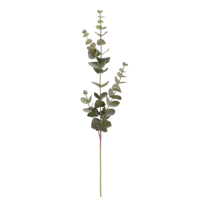 Round Eucalyptus – 32 Stem
