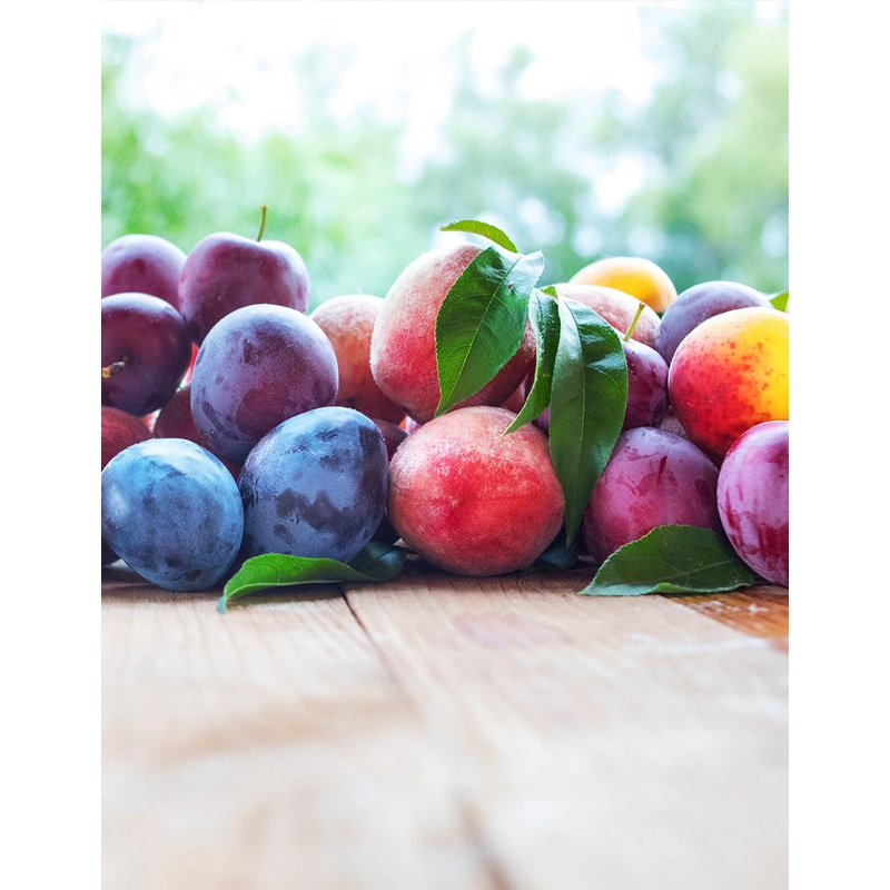 Fruit Cocktail Tree|4-5 ft.|6-7 ft.|3-4 ft.|5-6 ft.