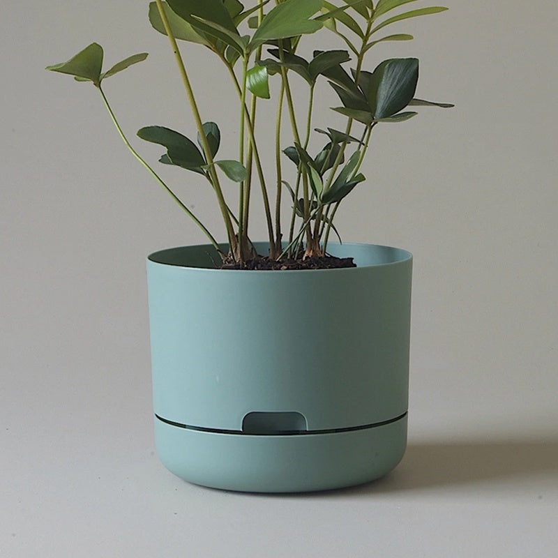 Mr Kitly Selfwatering Pot 21.5cm Cabinet Green