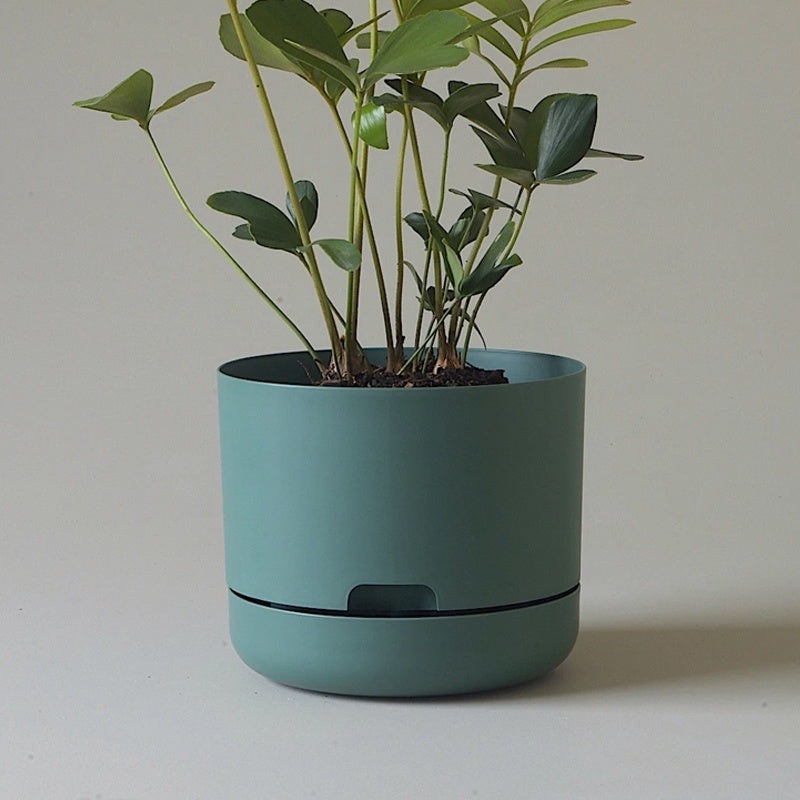 Mr Kitly Selfwatering Pot 21.5cm Dark Moss