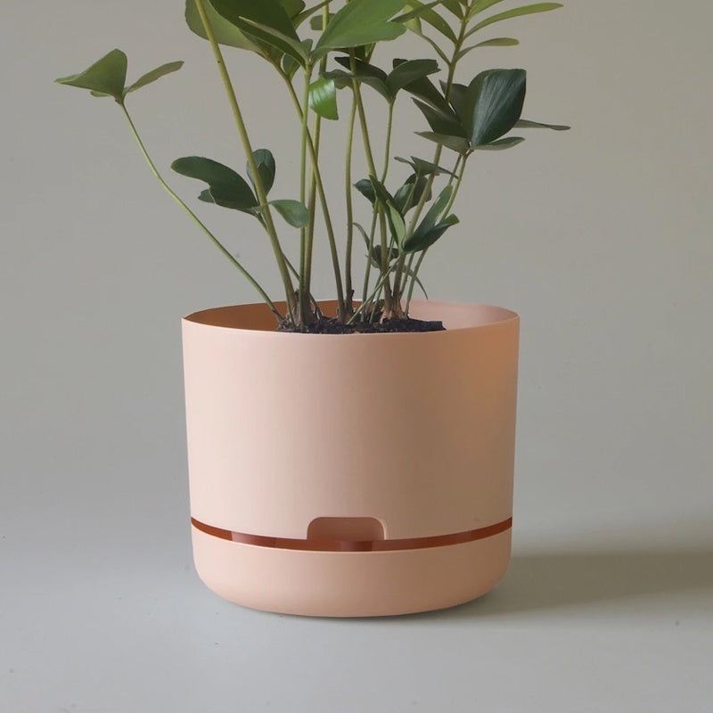 Mr Kitly Selfwatering Pot 21.5cm Pale Apricot