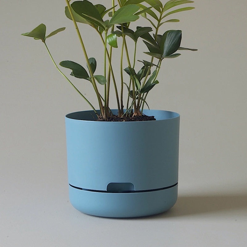 Mr Kitly Selfwatering Pot 21.5cm Pond Blue