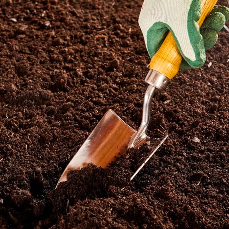 Plant Potting Service|Mini|Small (60mm – 120mm plant pot size)|Medium (125-170mm plant pot size)|Large (175mm -210mm plant pot size)|X-Large (220mm – 280mm plant pot size)|Jumbo (285mm – 300mm plant pot size)|Mega (310mm-400mm plant pot size)
