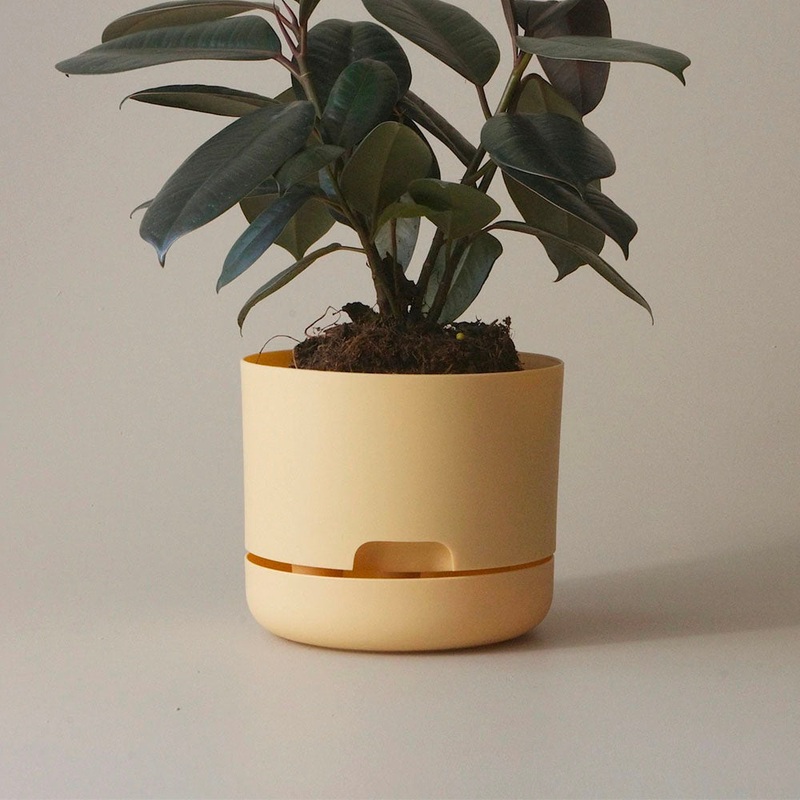 Mr Kitly Selfwatering Pot 17cm Buff