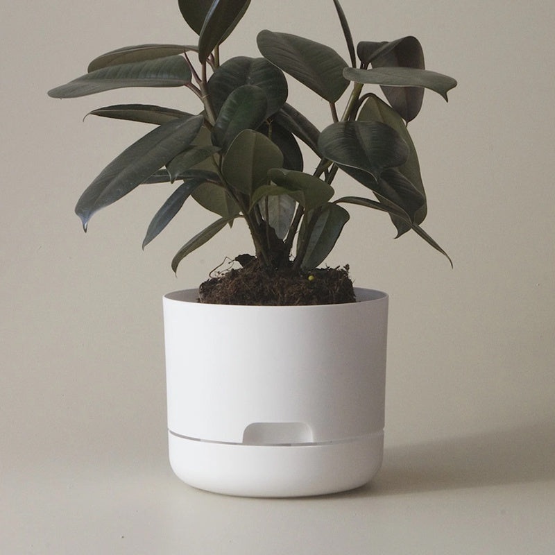 Mr Kitly Selfwatering Pot 17cm White