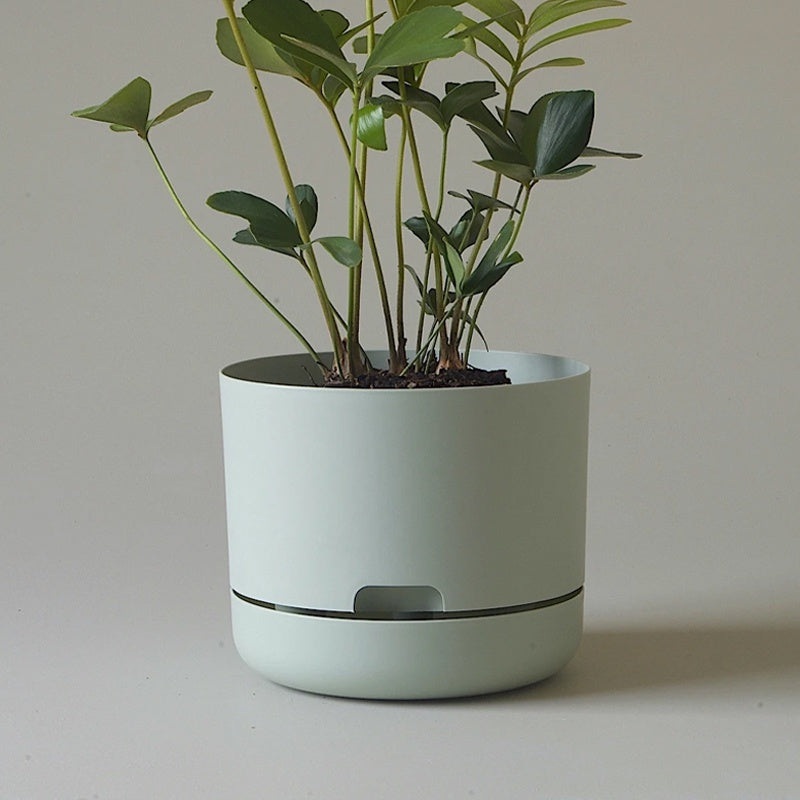 Mr Kitly Selfwatering Pot 21.5cm Fog