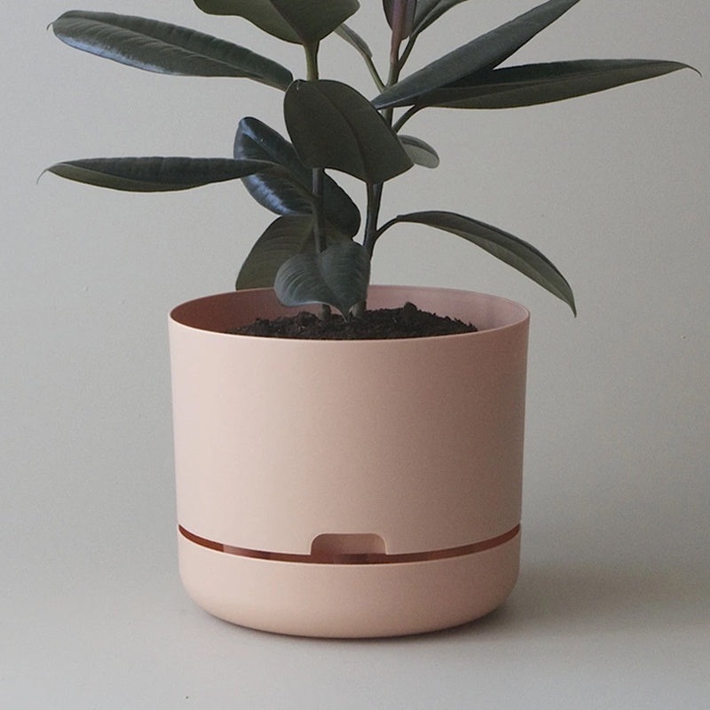 Mr Kitly Selfwatering Pot 25cm Pale Apricot