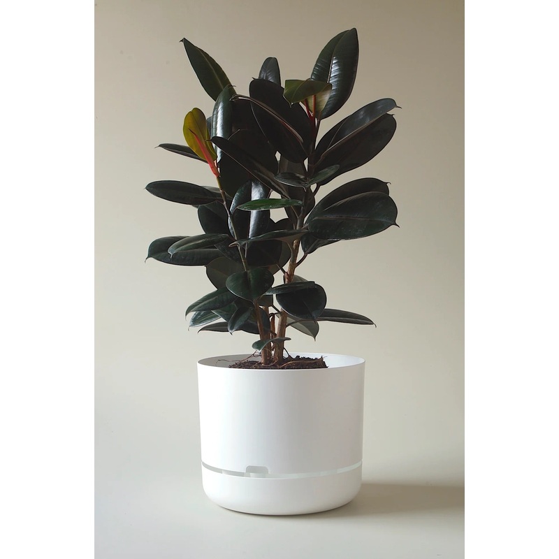 Mr Kitly Selfwatering Pot 37.5cm White