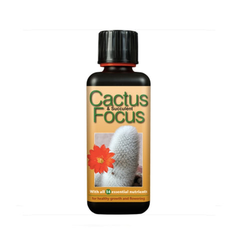 Cactus Focus Food – 300ml