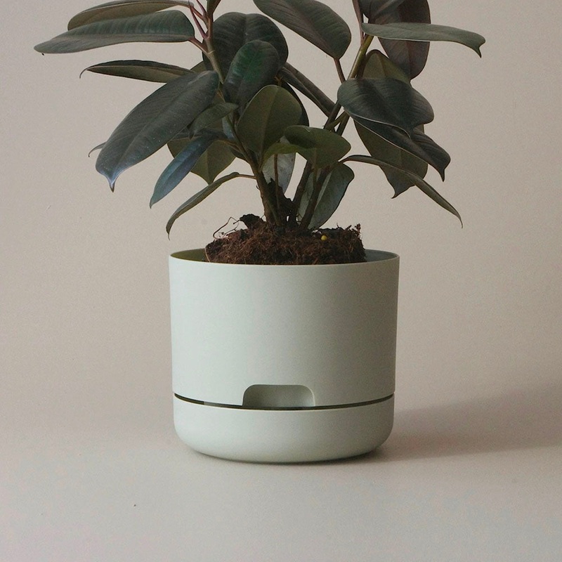 Mr Kitly Selfwatering Pot 17cm Fog