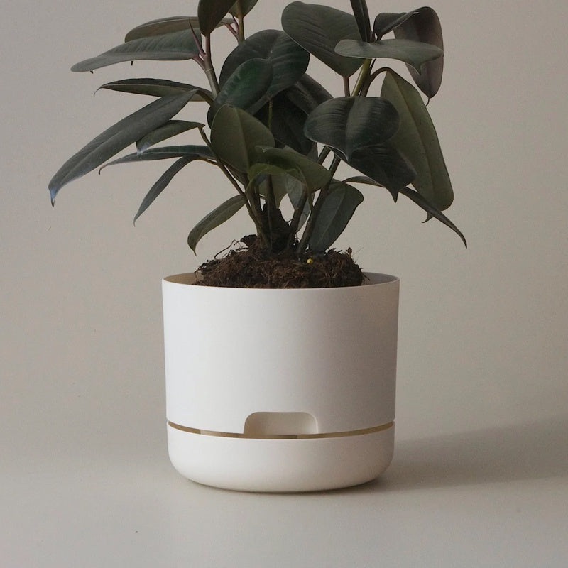 Mr Kitly Selfwatering Pot 17cm White Linen