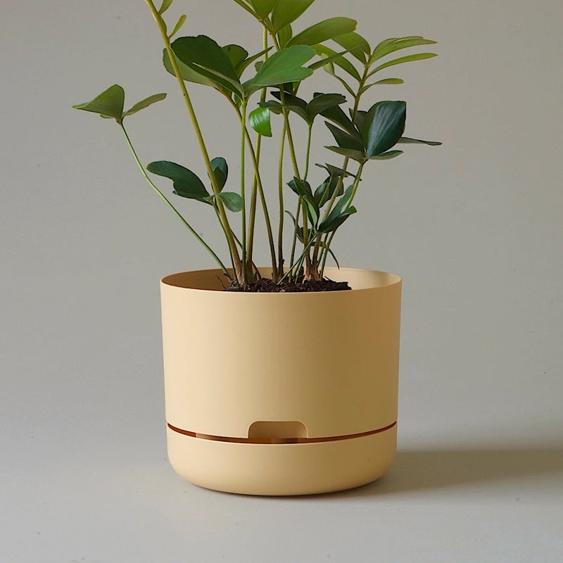 Mr Kitly Selfwatering Pot 21.5cm Buff