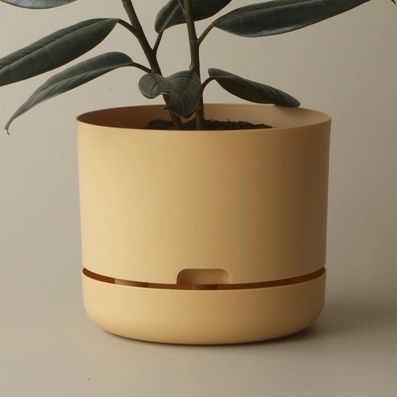 Mr Kitly Selfwatering Pot 25cm Buff