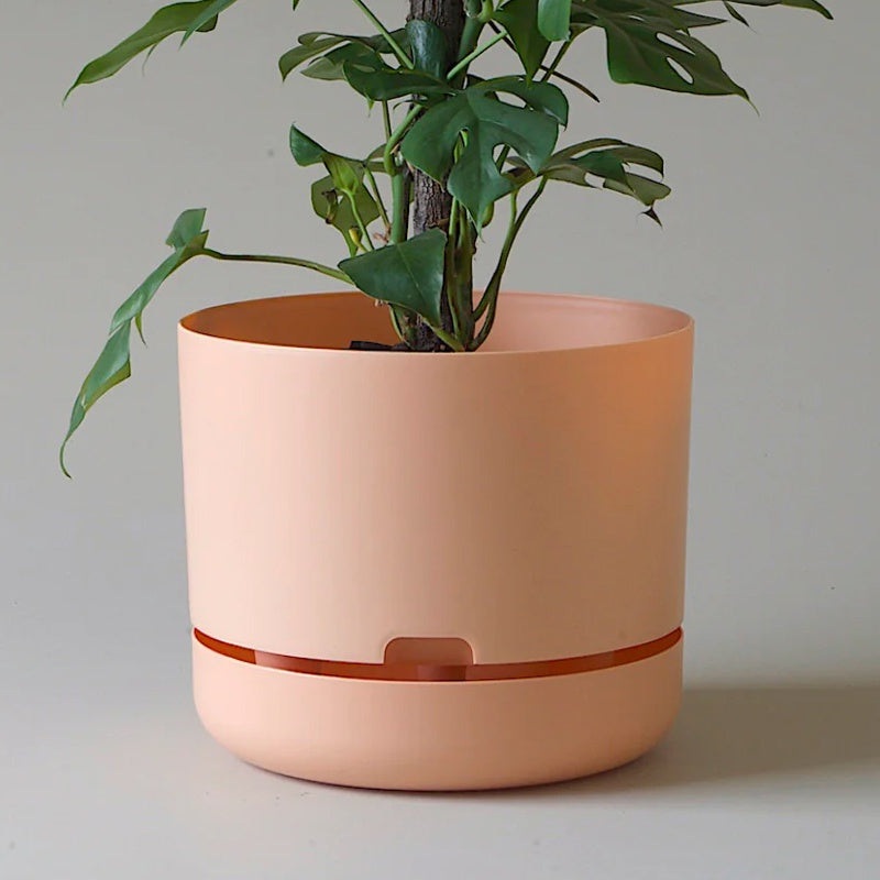 Mr Kitly Selfwatering Pot 30cm Pale Apricot