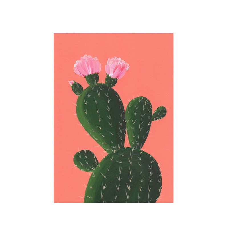 Stengun Drawings – Cactus on Orange