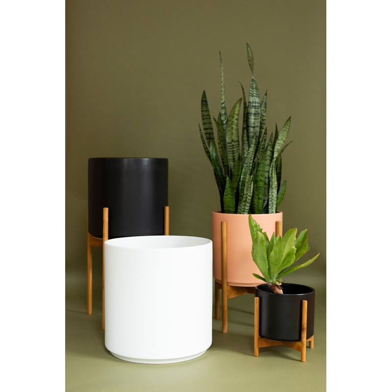 The Ten|White|Black