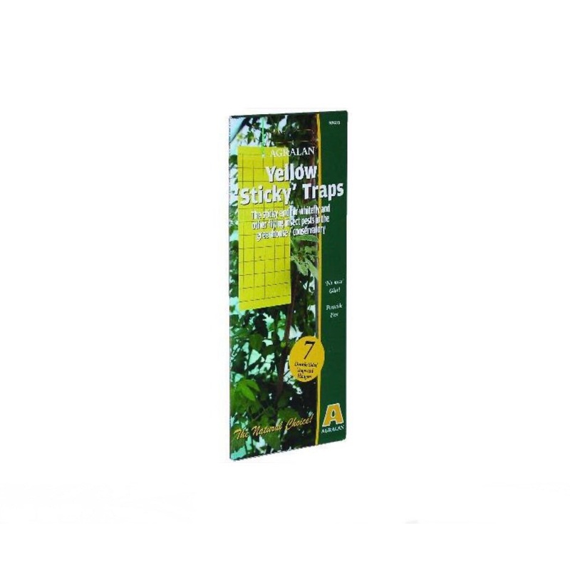 Yellow Sticky Traps