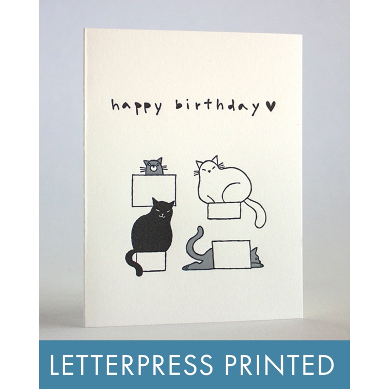 Cat Boxes Birthday Greeting Card