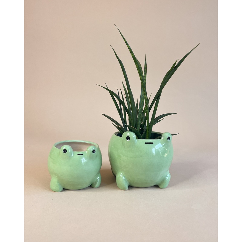 Frog Planter|Small|Large