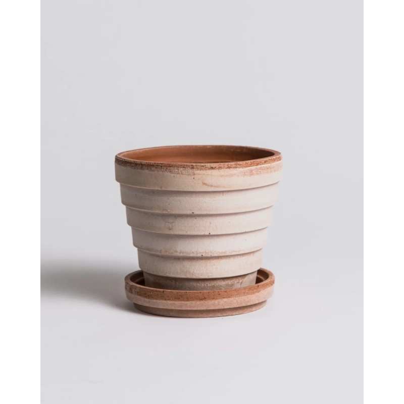 Planet Pot|Venus