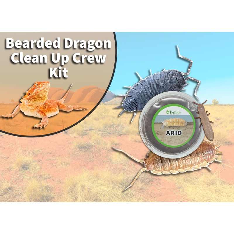Bearded Dragon Clean Up Crew Pack FREE SHIPPING