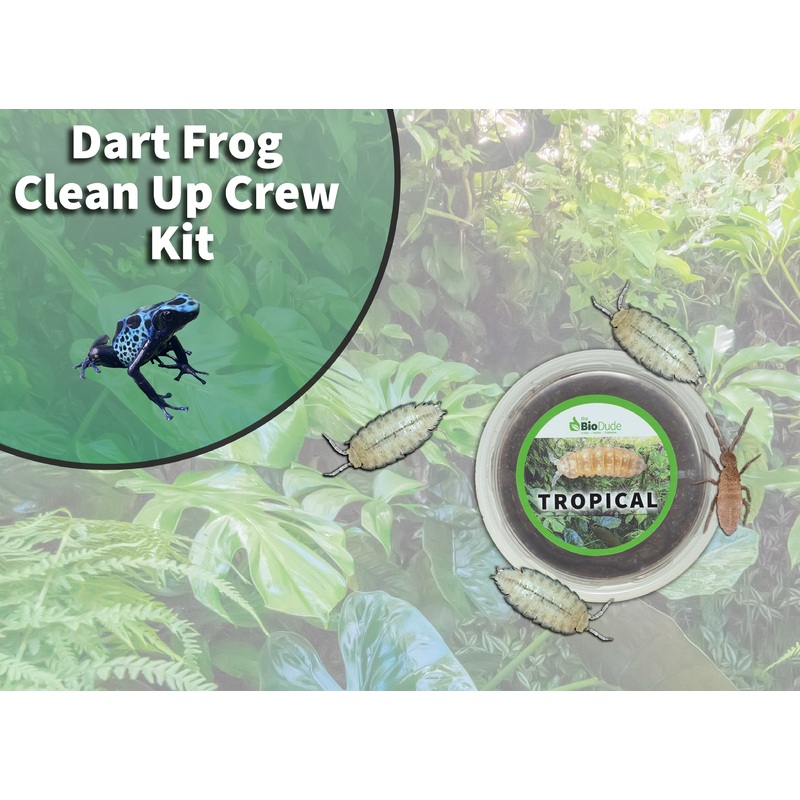 Poison Dart Frog Clean Up Crew Pack FREE SHIPPING