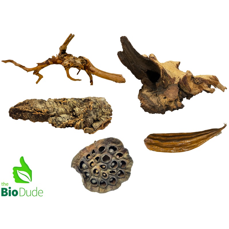 Terra Flora Accent Pack|10 gallon|20 gallon high|20 gallon long|29 gallon|12 x 12 x 18|18 x 18 x 24