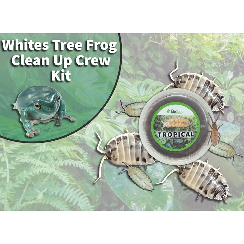 White’s Tree Frog Clean Up Crew Pack  FREE SHIPPING