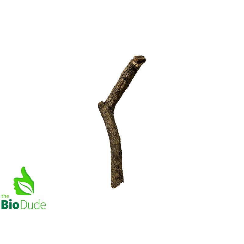 Cork Bark Branch|10″-14″|18″-21″|24″-32″