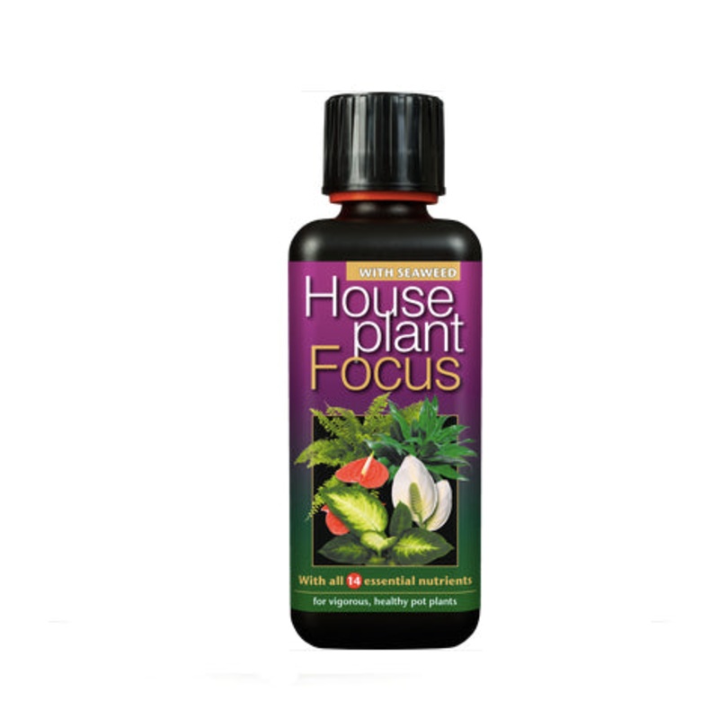 Houseplant Focus Food – 300ml