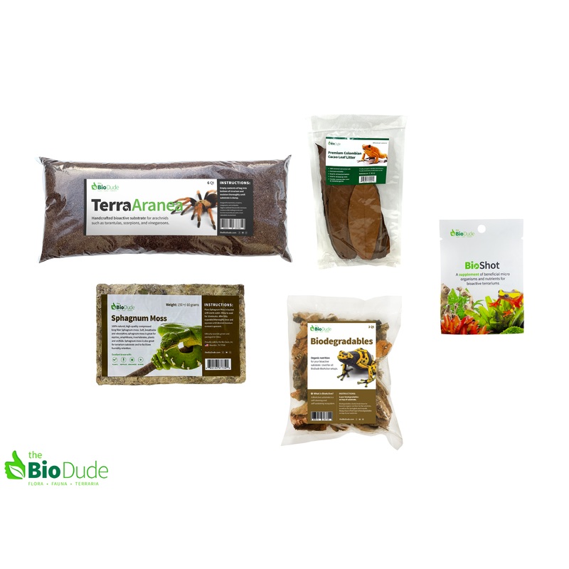 Terra Aranea Bioactive Kit 12 x 12