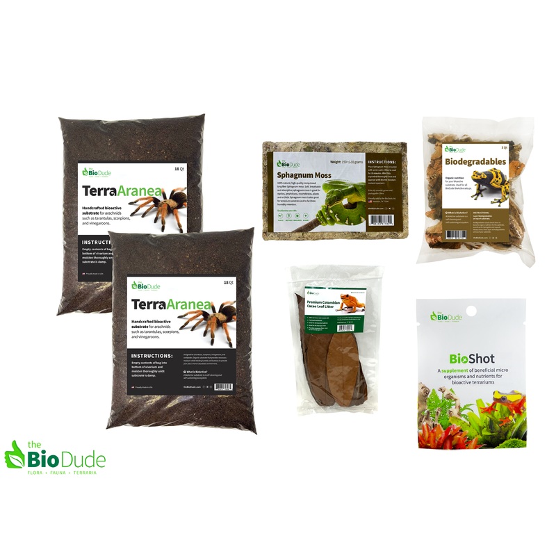 Terra Aranea Bioactive Kit 24 x 18 x 18/24/36
