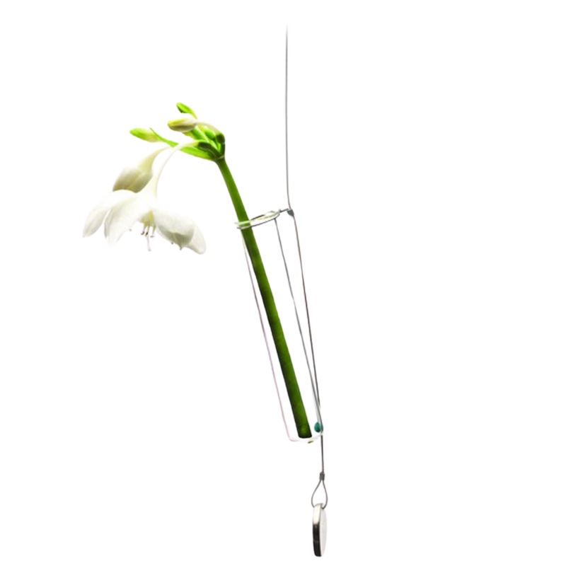 Bolbo Hanging Glass Modern Clear Flower Vase