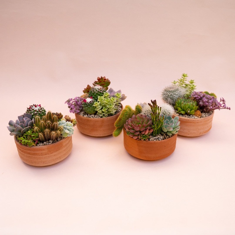 Mare small – BOX 7x
