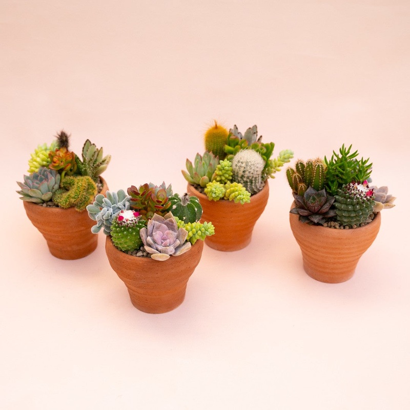 Onda small – BOX 8x