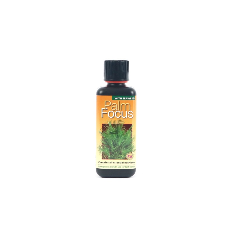 Palm Focus Fertiliser