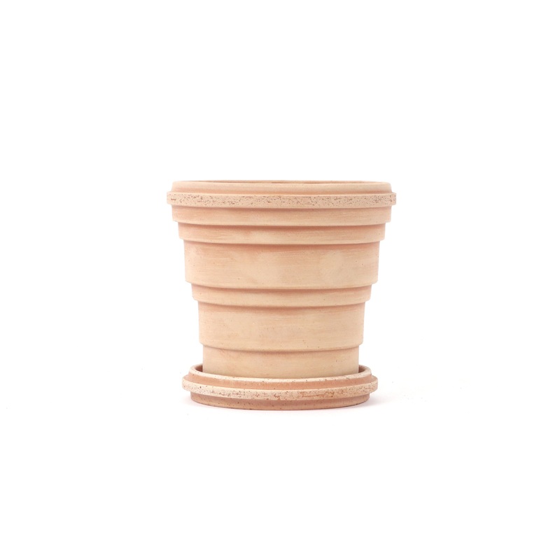 Planet Saturn Pink with saucer
