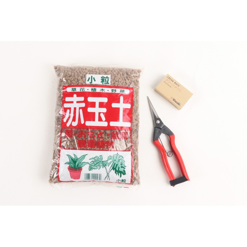 The Indoor Gardener’s Tool Kit (Snips)