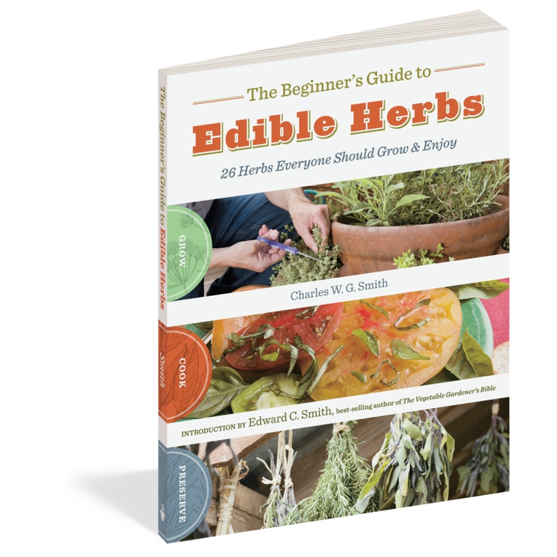 Beginner’s Guide to Edible Herbs