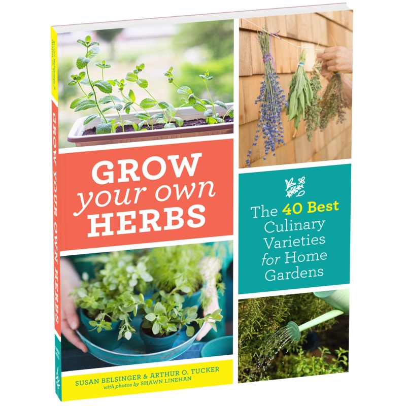 Grow Your Own Herbs